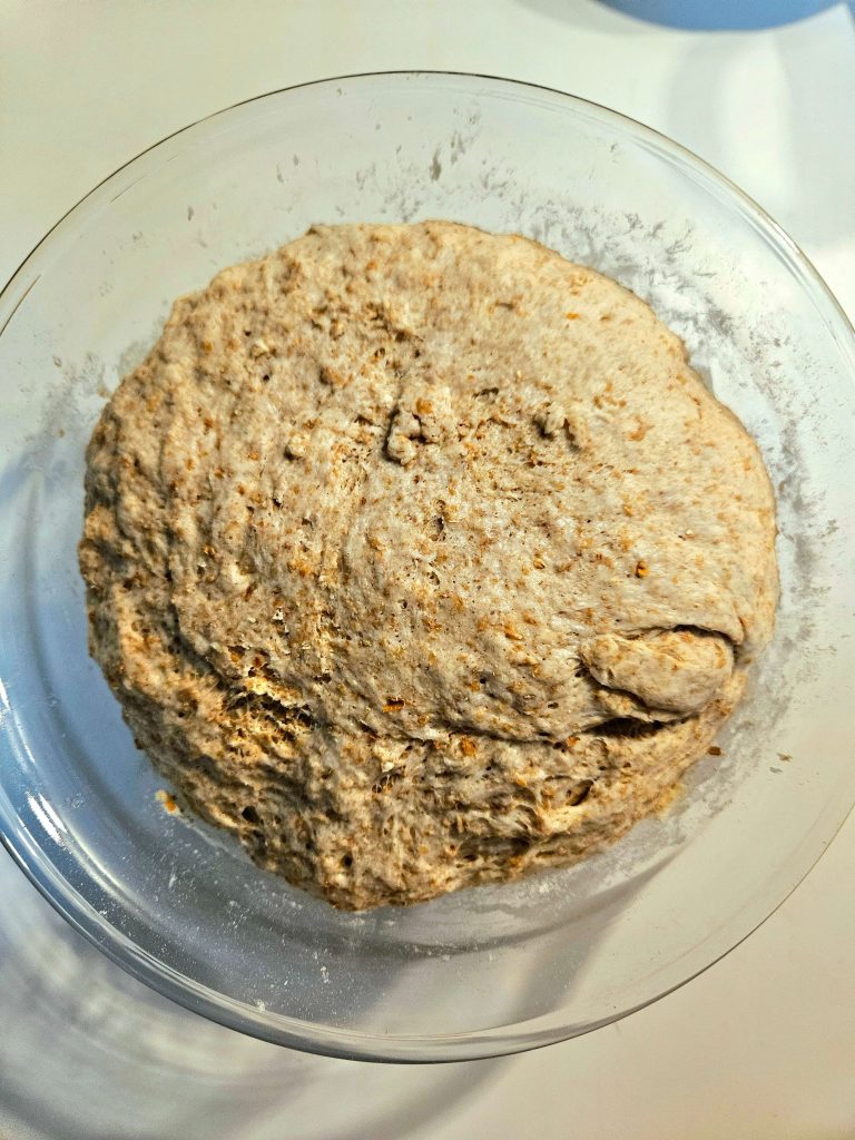 Whole Wheat Pizza Dough Step 2 - Rabbitmeal