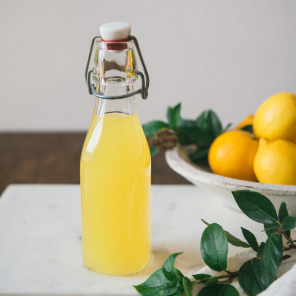 Limoncello - Rabbitmeal