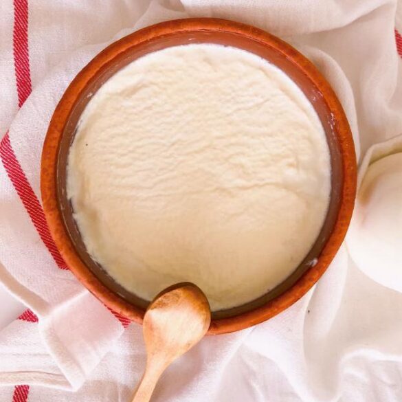 Yogurt Recipe - Rabbitmeal
